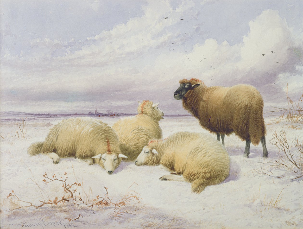 Ovelhas na neve de Thomas Sidney Cooper