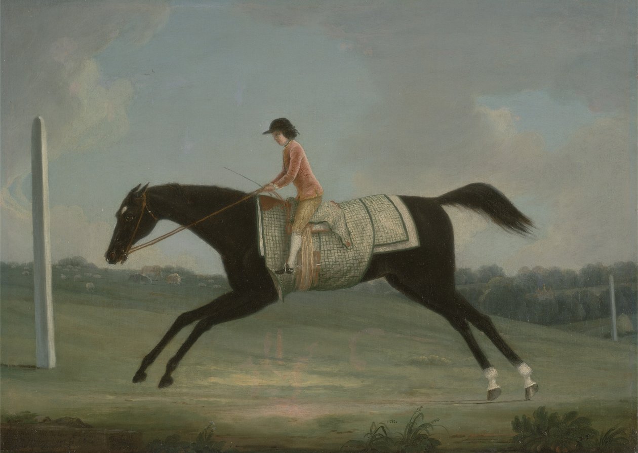 Borlase Cokayne como um menino cavalgando Sultana, 1751 de Thomas Smith of Derby