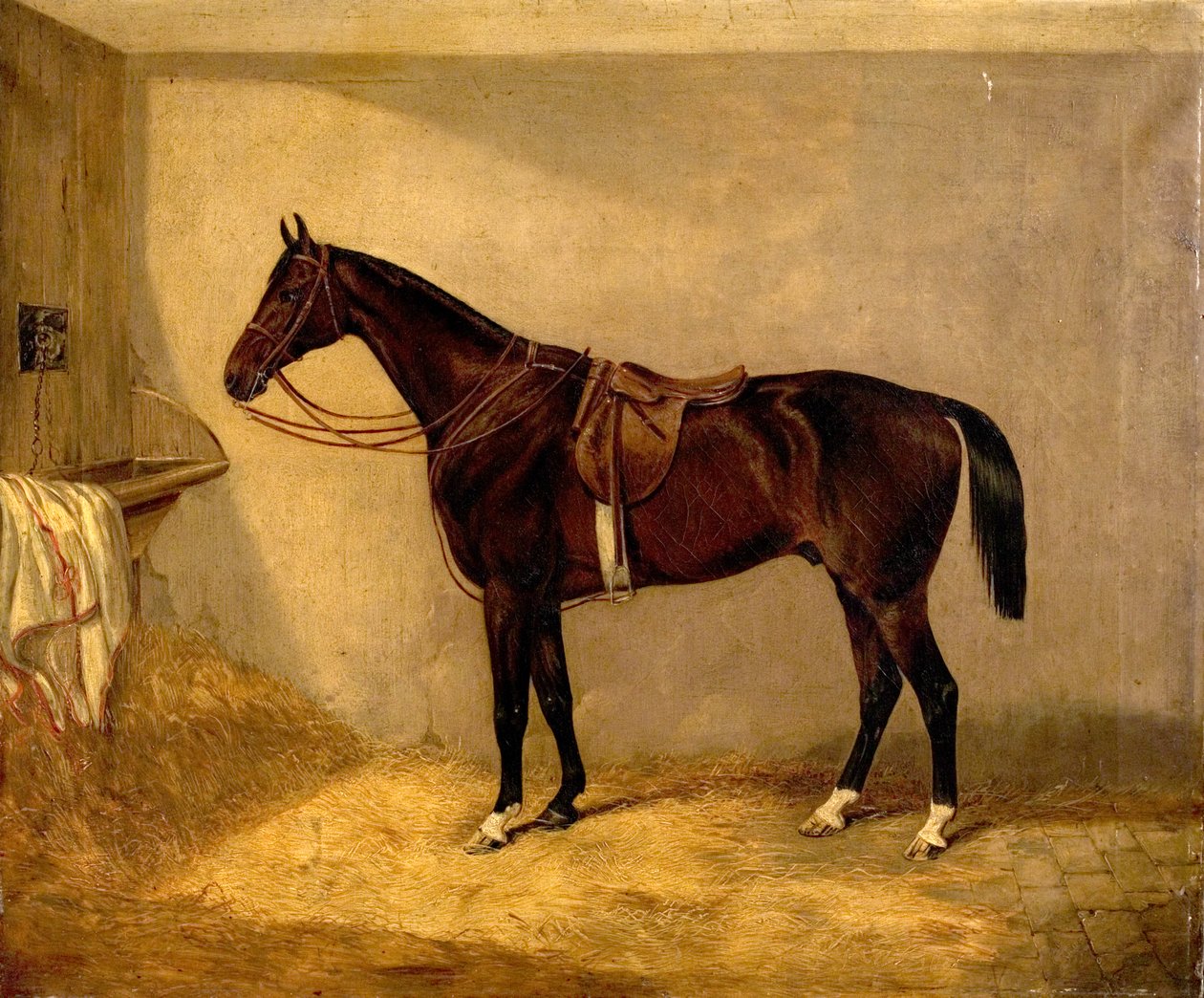 Retrato do cavalo, que pertencia ao Major Burton na Carga de Balaclava de Thomas W. Bretland