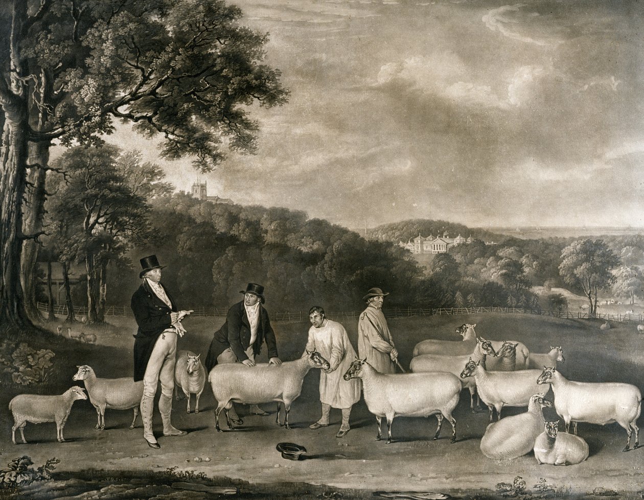 Retrato de Thomas William Coke, Esq. (1752-1842) inspecionando algumas de suas ovelhas de South Down com o Sr. Walton e os pastores de Holkham, gravadas por William Ward (1766-1826), 1808 de Thomas Weaver