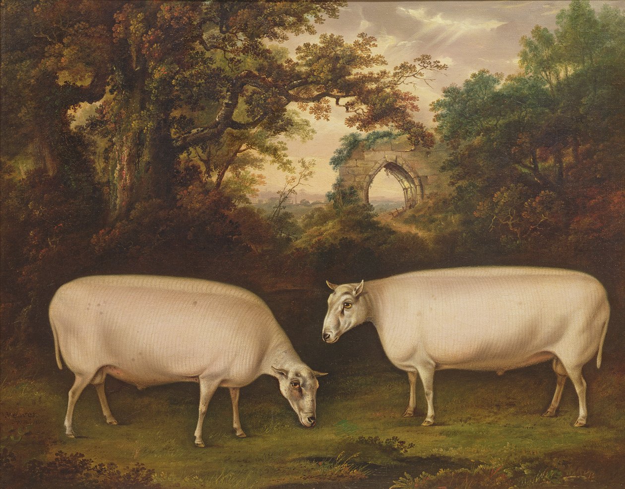 Dois leões de Leicester Border Border em uma paisagem, 1800 de Thomas Weaver