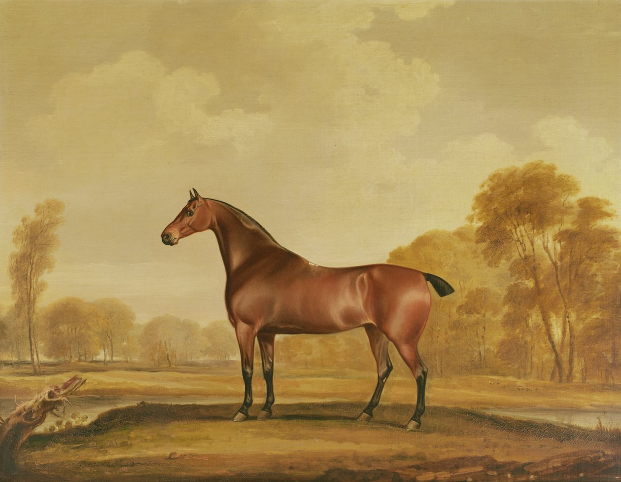 Zillah de Thomas Weaver