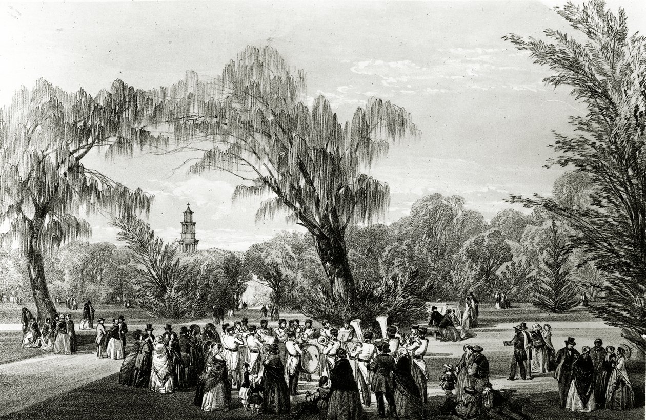 Botanical Gardens, Cape Town, impressão feita por W. Simpson, c.1850s de Thomas William Bowler