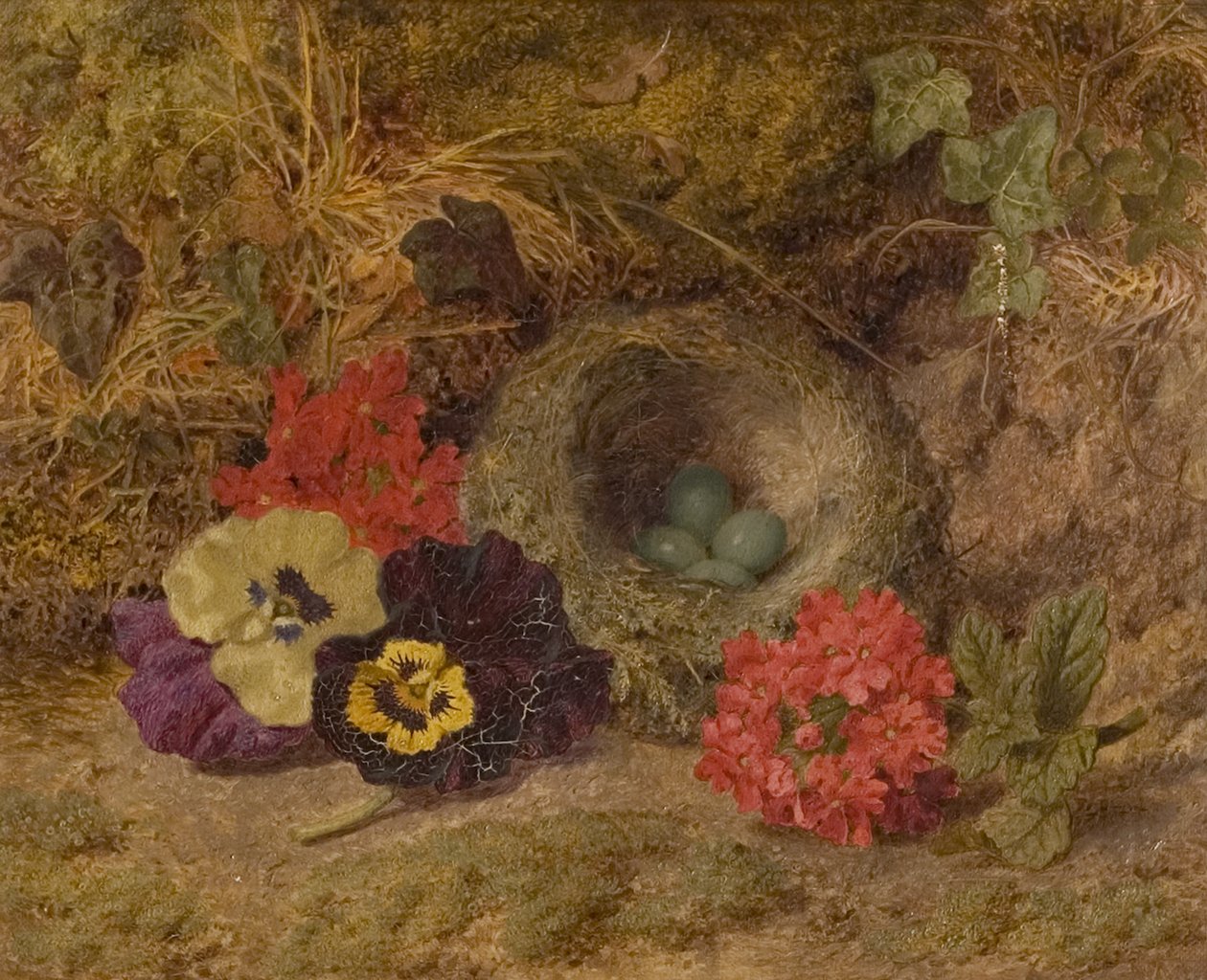 Ninho de Pássaro, Amores-perfeitos e Verbena, final do século XIX de Thomas Worsey
