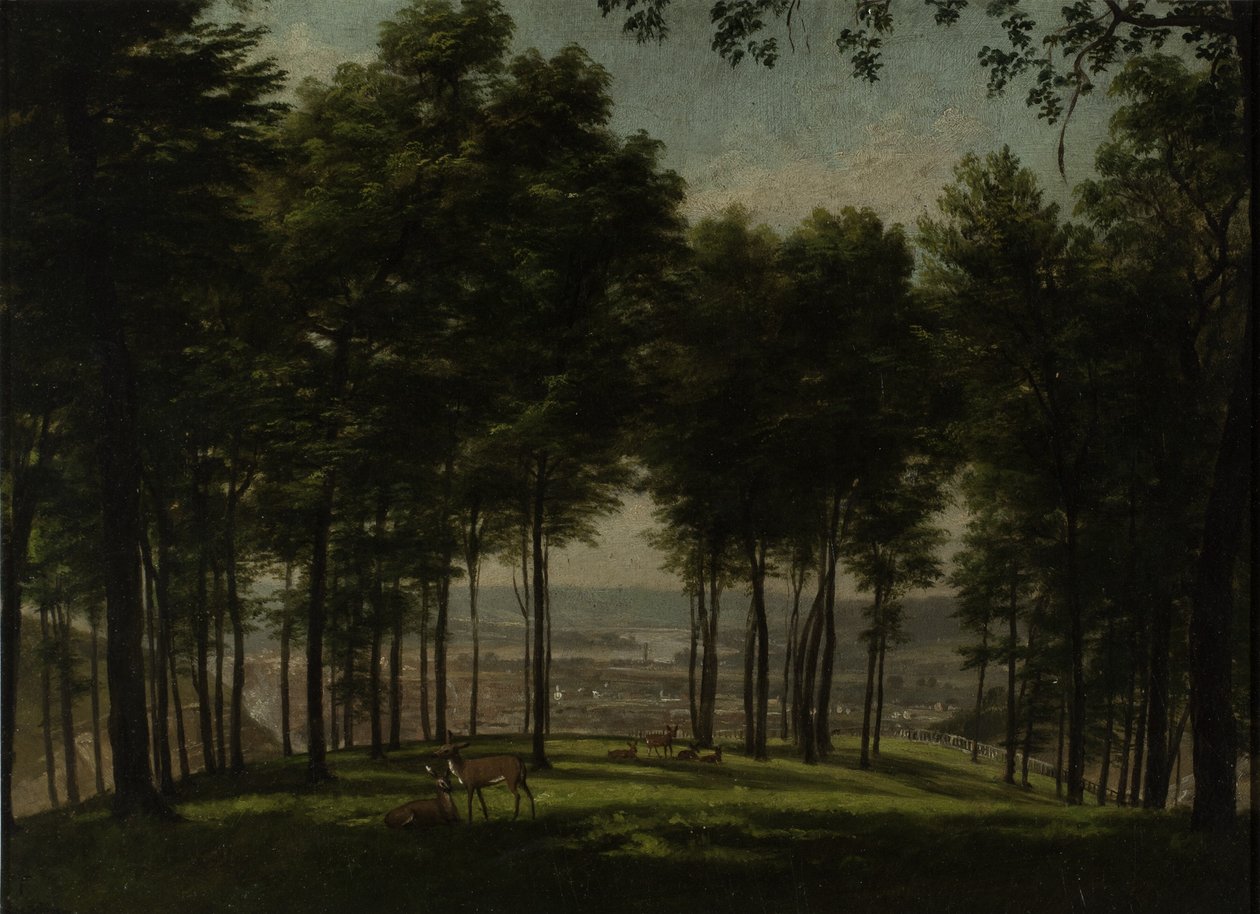 Mount Storm Park, Cincinnati, 1840 (óleo no tabuleiro da academia) de Thomas Worthington Whittredge