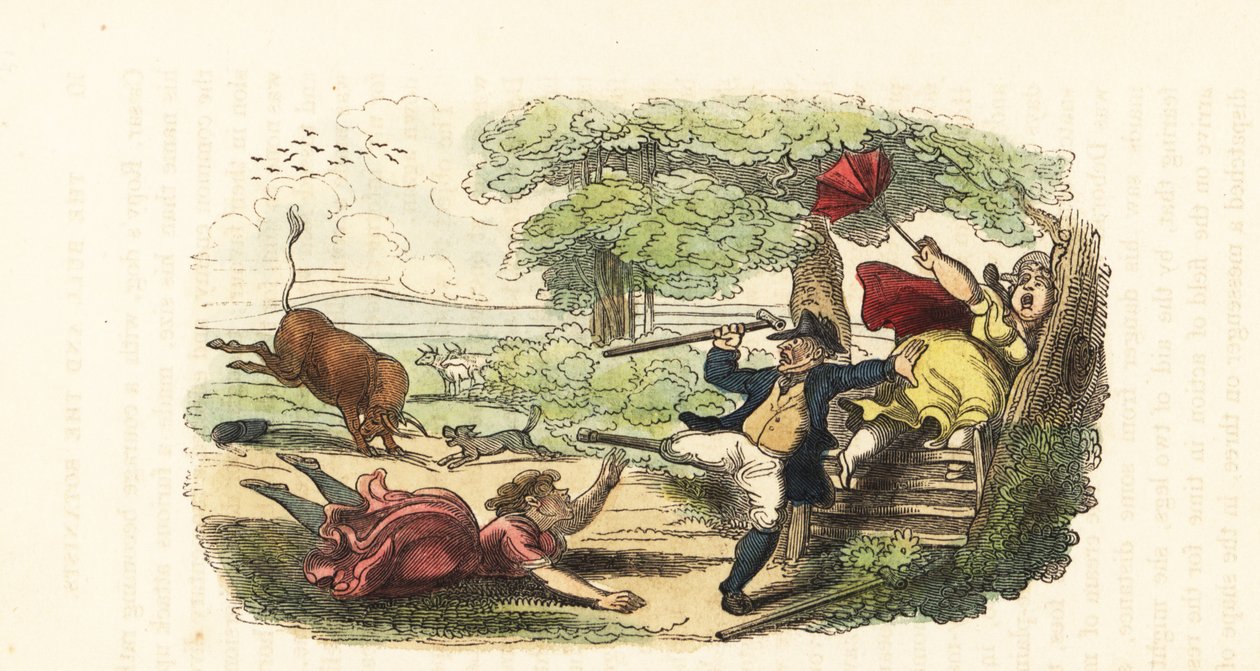 Uma família de botânicos atacada por um touro em um campo. ,1831 (gravura) de Thomas (after) Rowlandson