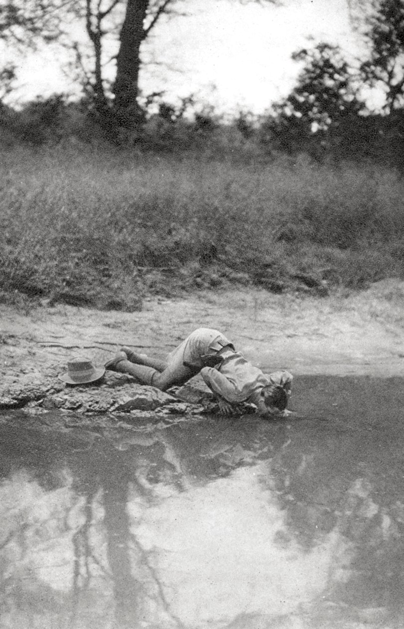 Errol Hinds bebendo, Mongalla para Terrakekka, Sudão, 1925 1927 de Thomas A. Glover