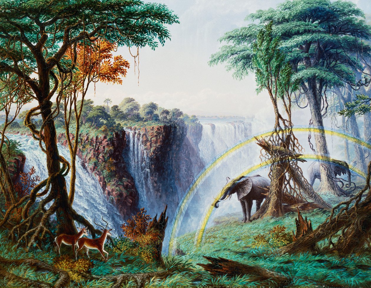 The Smoke-OA-Tunya de Thomas Baines