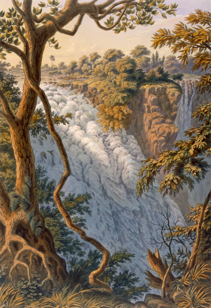 Victoria Falls: The Leaping Water, pub. 1864. de Thomas Baines