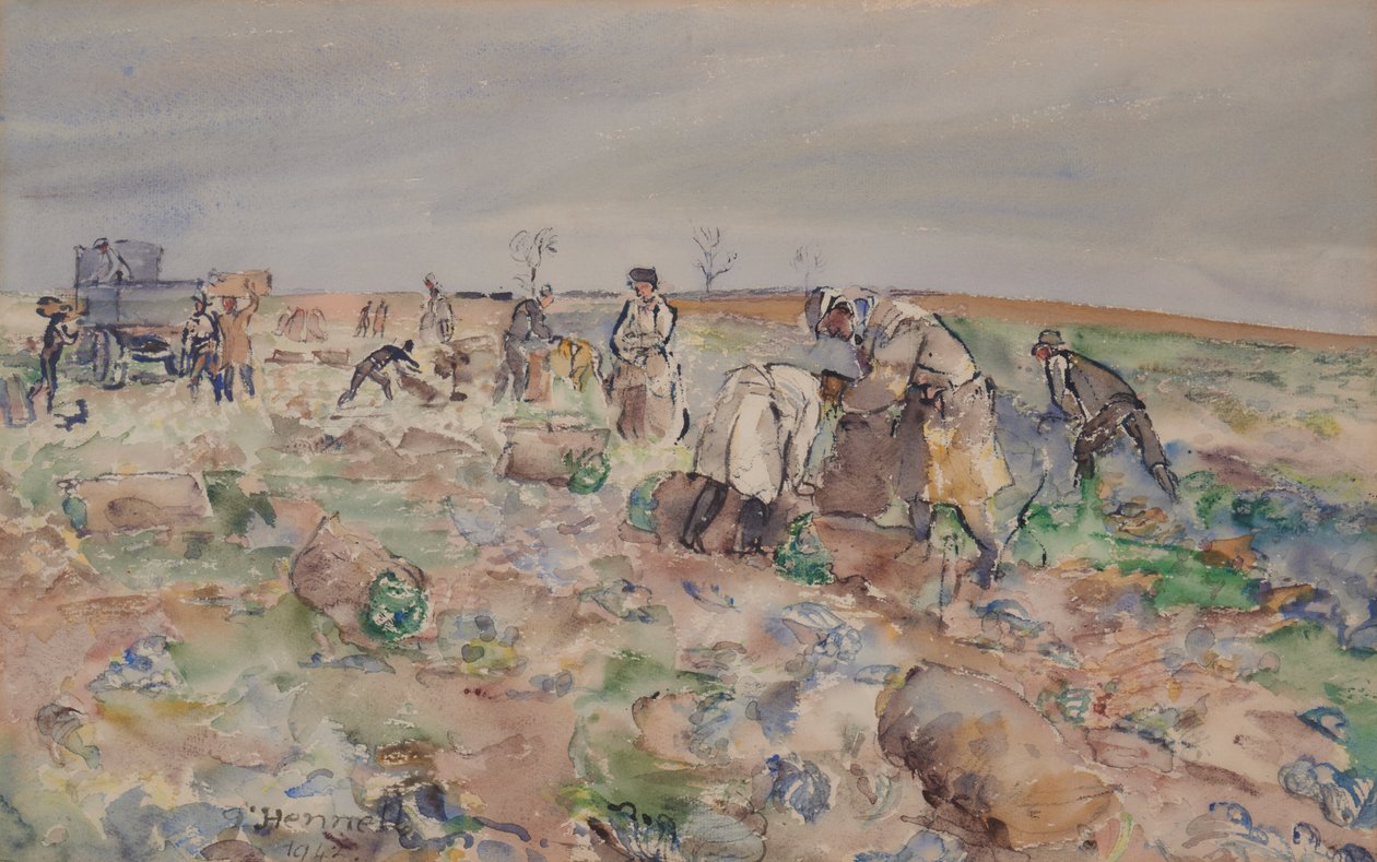 No campo de batata de Thomas Barclay Hennell