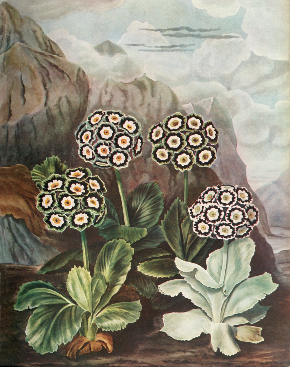 Alças, c1802-1821 de 1948. de Thomas Baxter