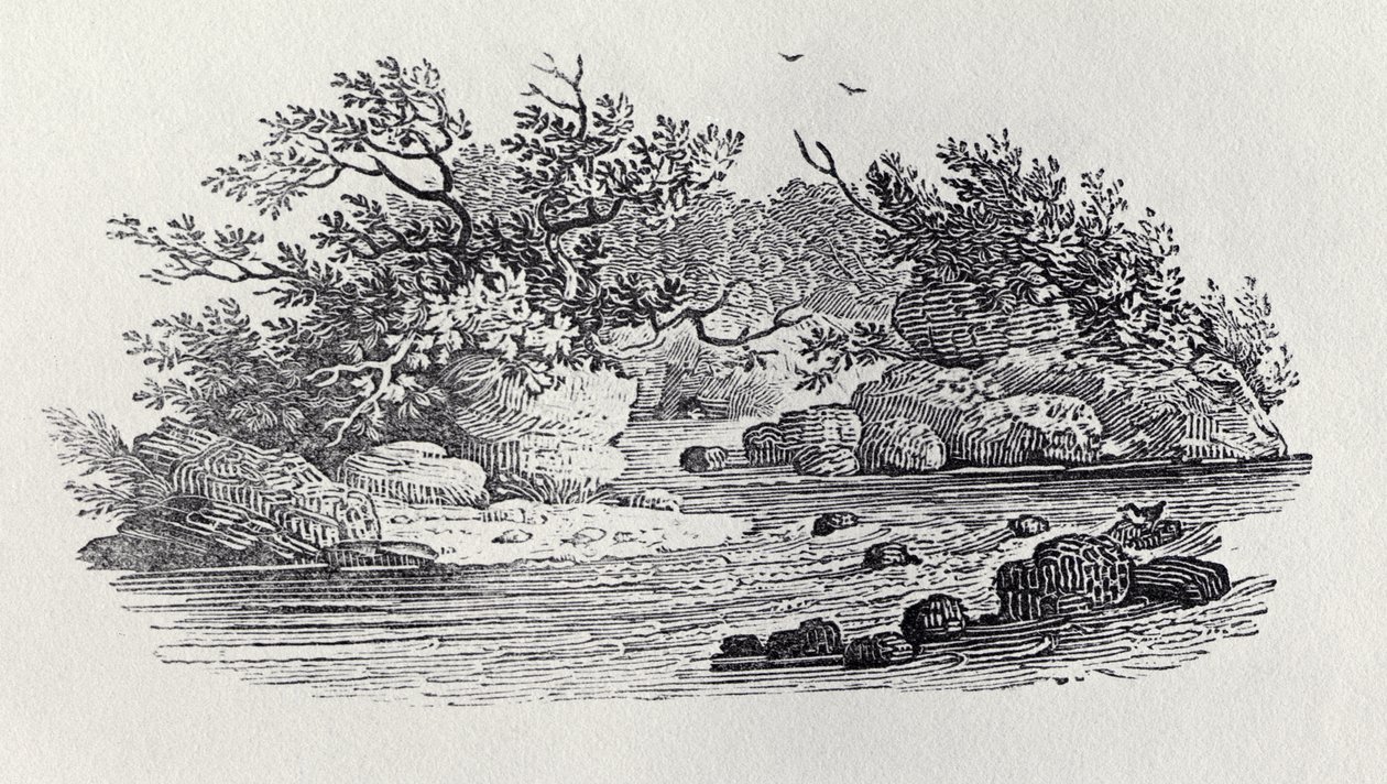 Uma Curva no Rio da &39;História das Aves Britânicas, Volume 2: Aves Aquáticas&39;, 1804 de Thomas Bewick