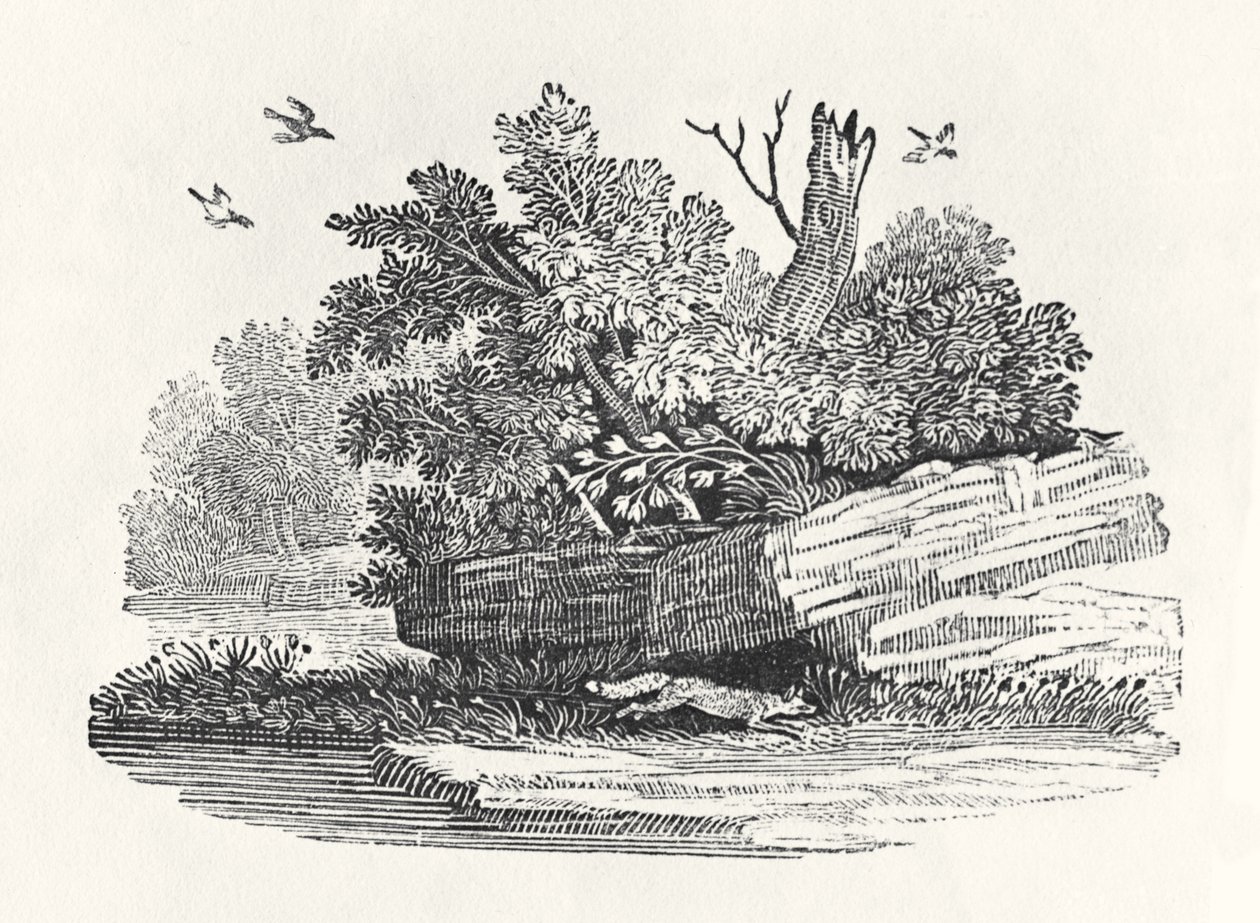 Fox escapando de "A História Geral dos Quadrúpedes", publicada em 1790 (gravura em madeira) de Thomas Bewick