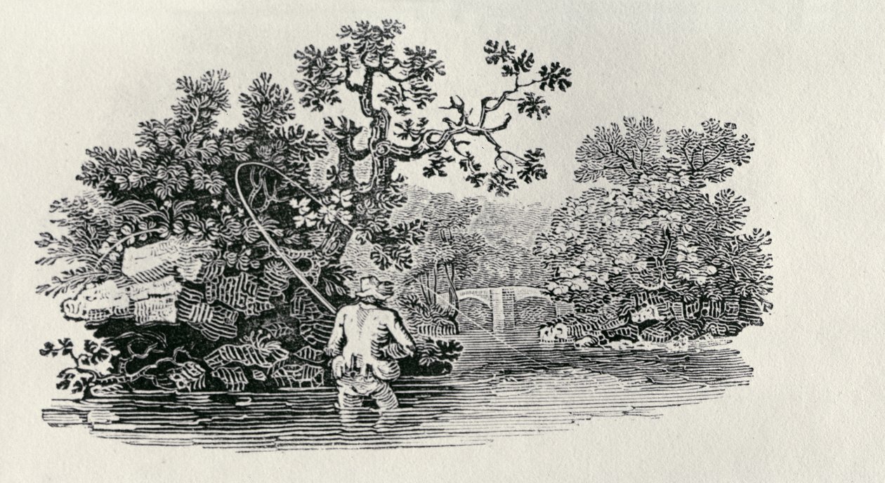 Jogando um salmão de "História de aves britânicas e quadrúpedes" de Thomas Bewick
