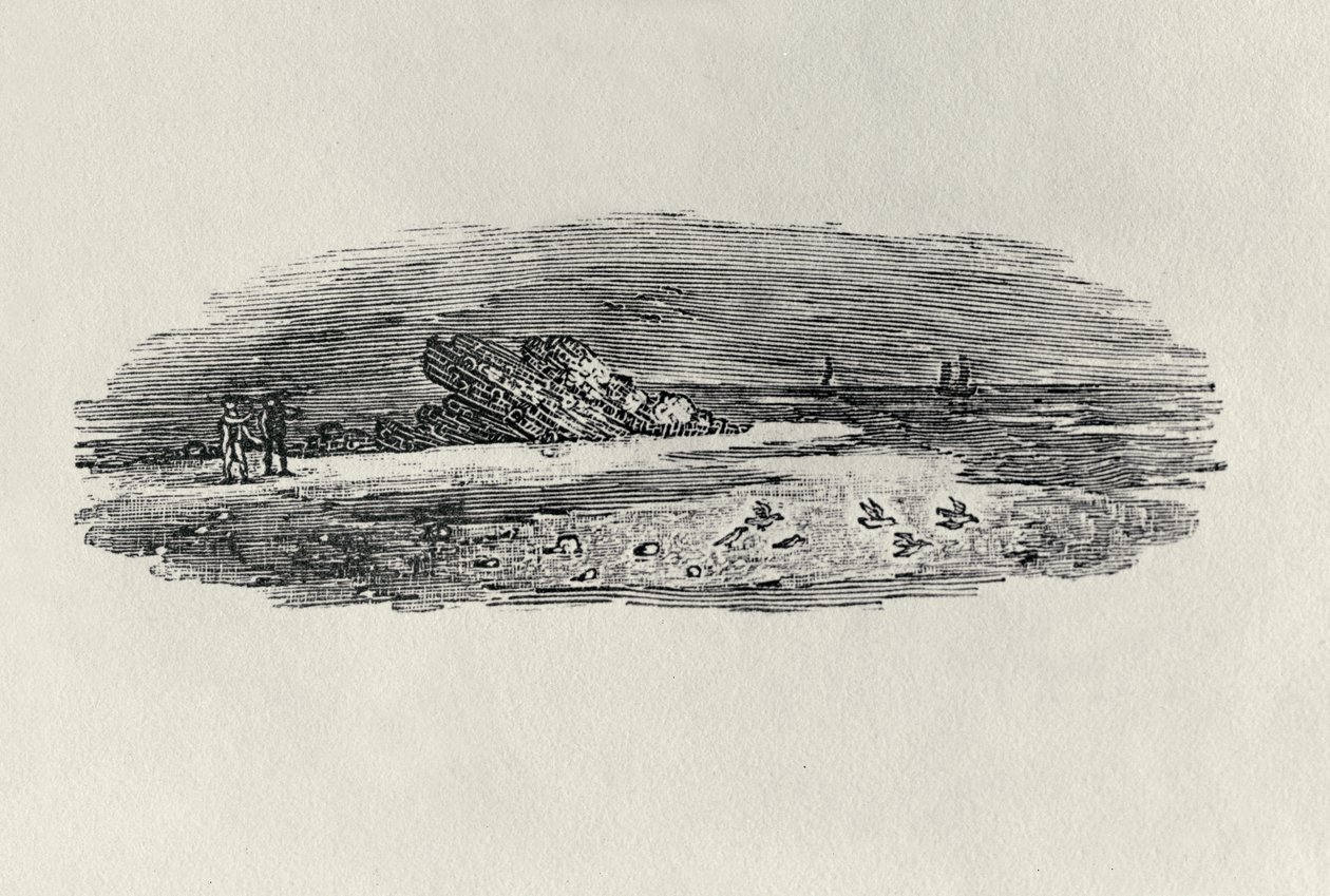 Rochas com navegação costeira, c. 1801, de &39;Water Birds&39;, publicado em 1804 (gravura em madeira) de Thomas Bewick