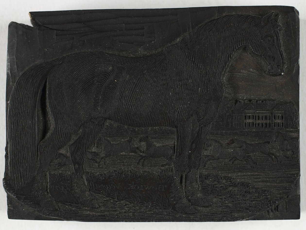 Woodblock para The Black Horse, de uma história geral de quadrúpedes de Thomas Bewick