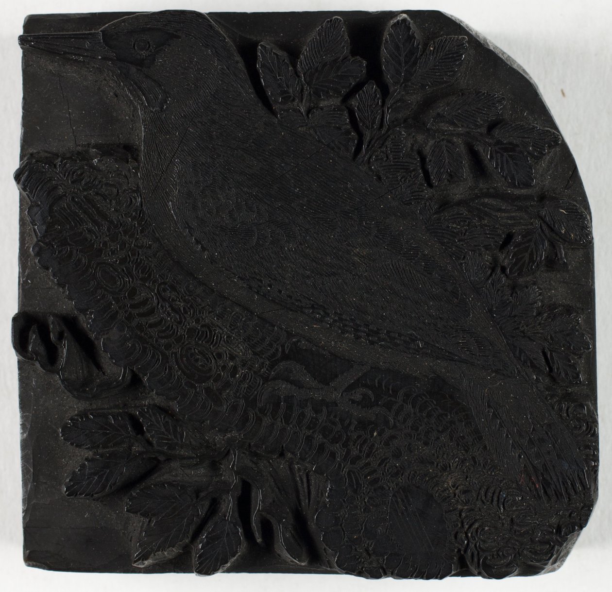 Bloco de madeira para O pica-pau-verde, de Uma história das aves britânicas de Thomas Bewick