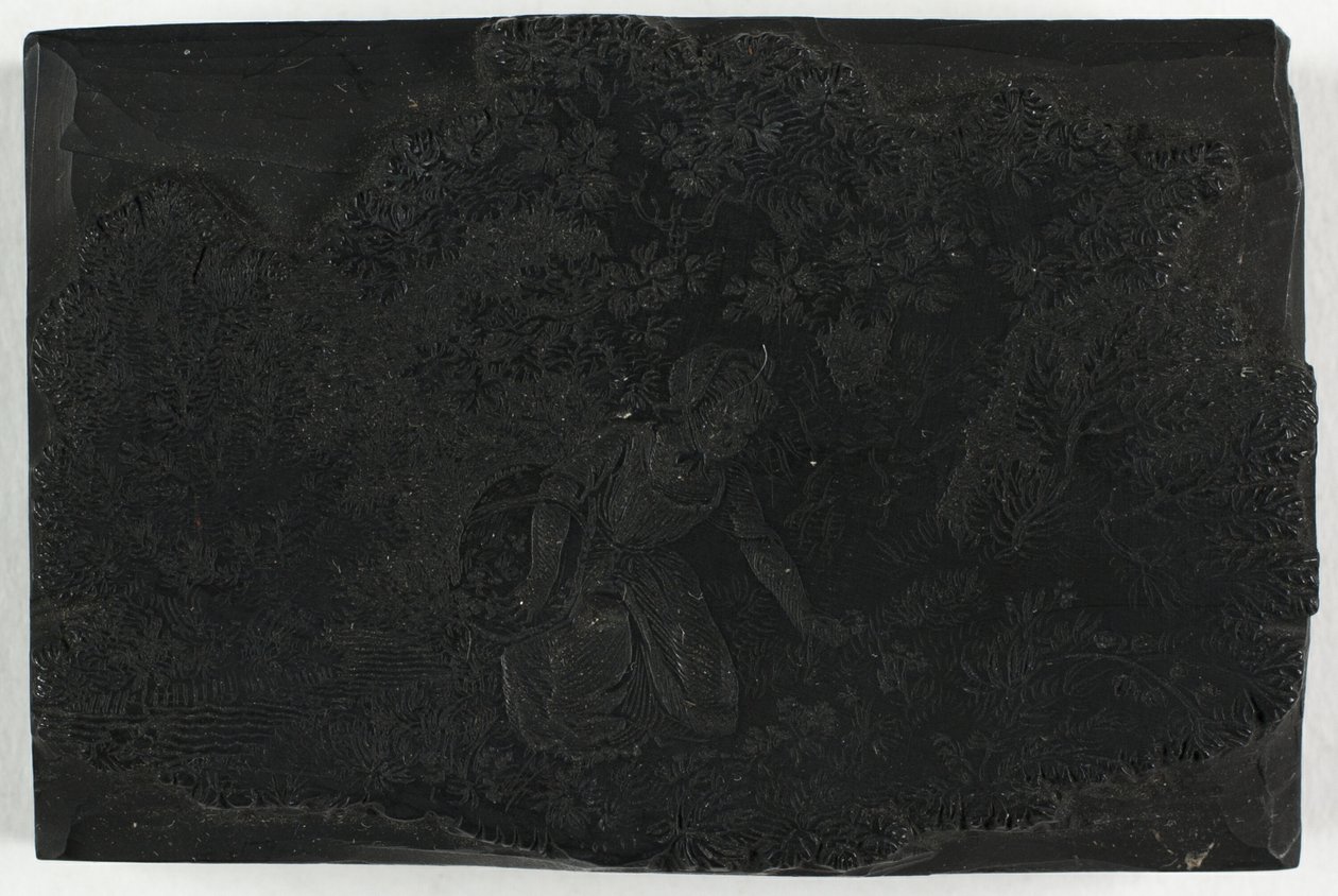 Woodblock para mulher colhendo flores de Thomas Bewick