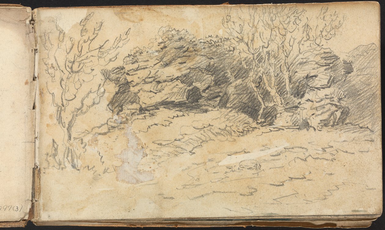 Álbum de Estudos da Paisagem e das Figuras: Esboço de Árvores e Rochas de Thomas Bradshaw