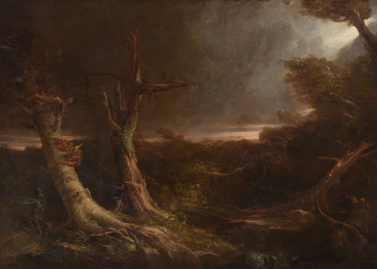 Tornado em uma floresta americana de Thomas Cole