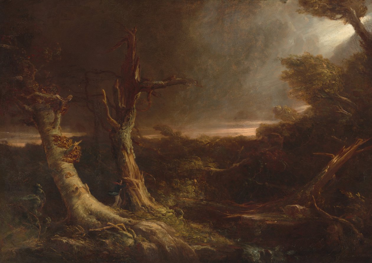 Tornado em uma floresta americana de Thomas Cole