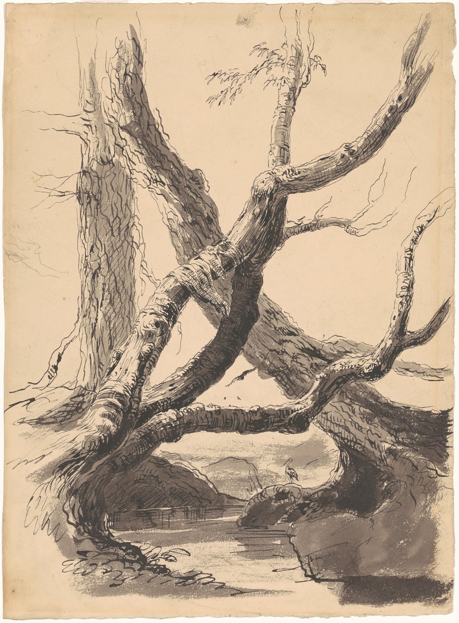 Troncos de árvores de Thomas Cole