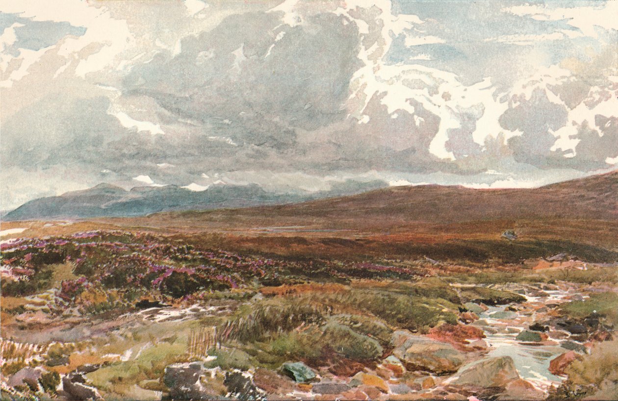 Um Sussex Common, c1889 de Thomas Collier