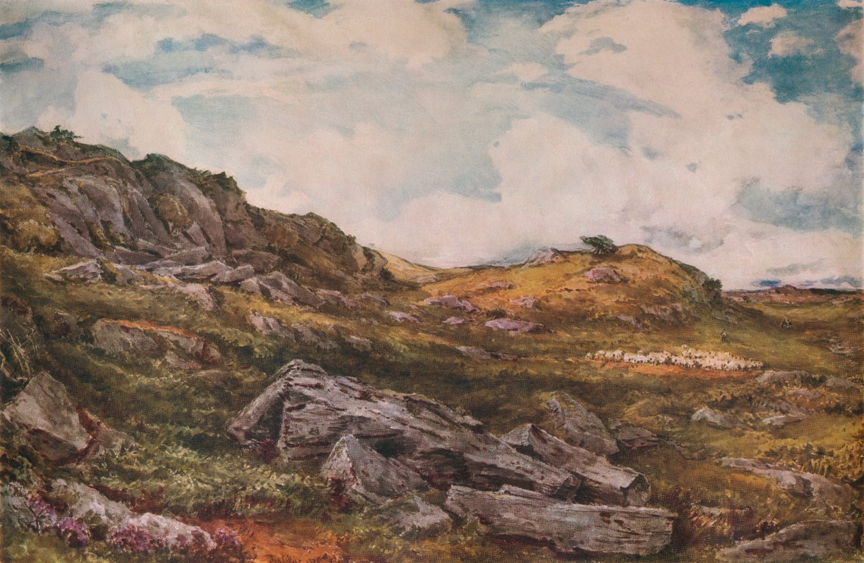 Terra comum de Blythburgh, 1888 de Thomas Collier