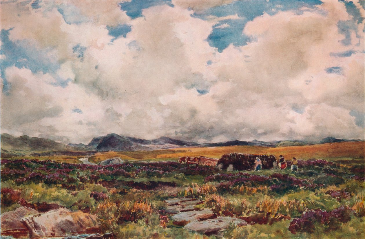 Stacking Peat, Festiniog, Gales do Norte, 1881 de Thomas Collier