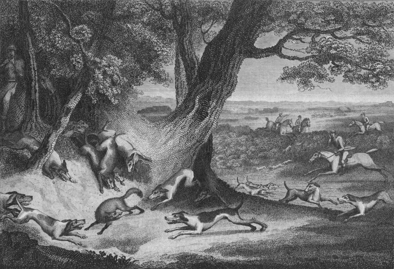 Morte da Raposa, 1793. de Thomas Cook