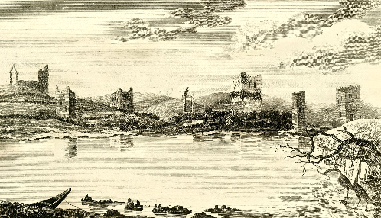 N. Vista das ruínas de Clomines, Co. Wexford, 1791. de Thomas Cook