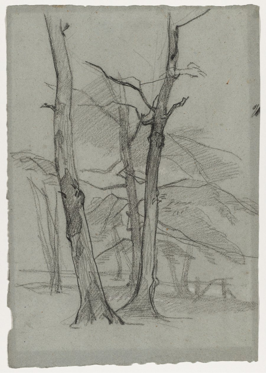 Estudo da paisagem com árvores, c. 1870-1875. de Thomas Couture