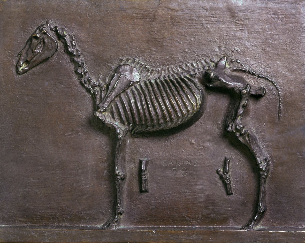 Esqueleto de cavalo de Thomas Cowperthwait Eakins