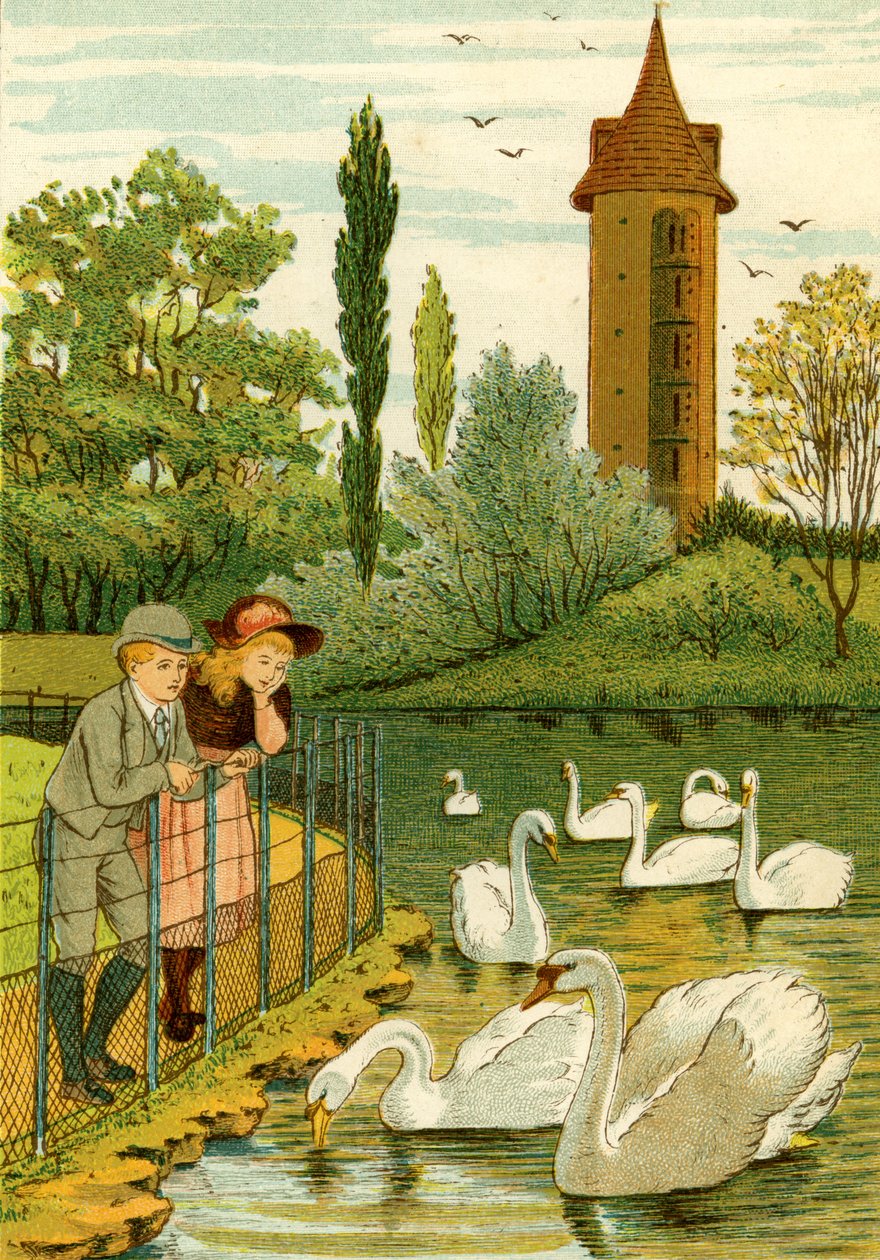 Zoológico de Paris - crianças vendo cisnes de Thomas Crane