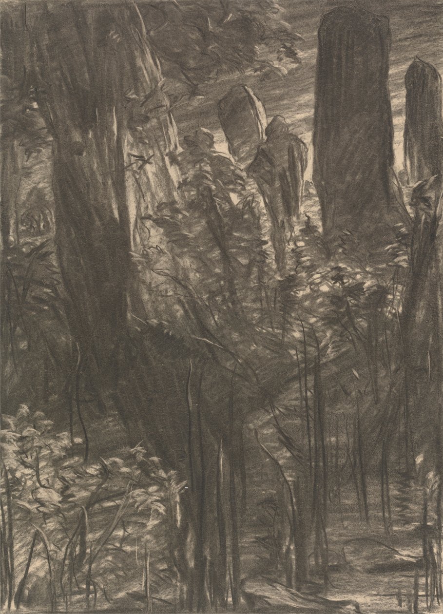 Um bosque de árvores de Thomas Dalziel