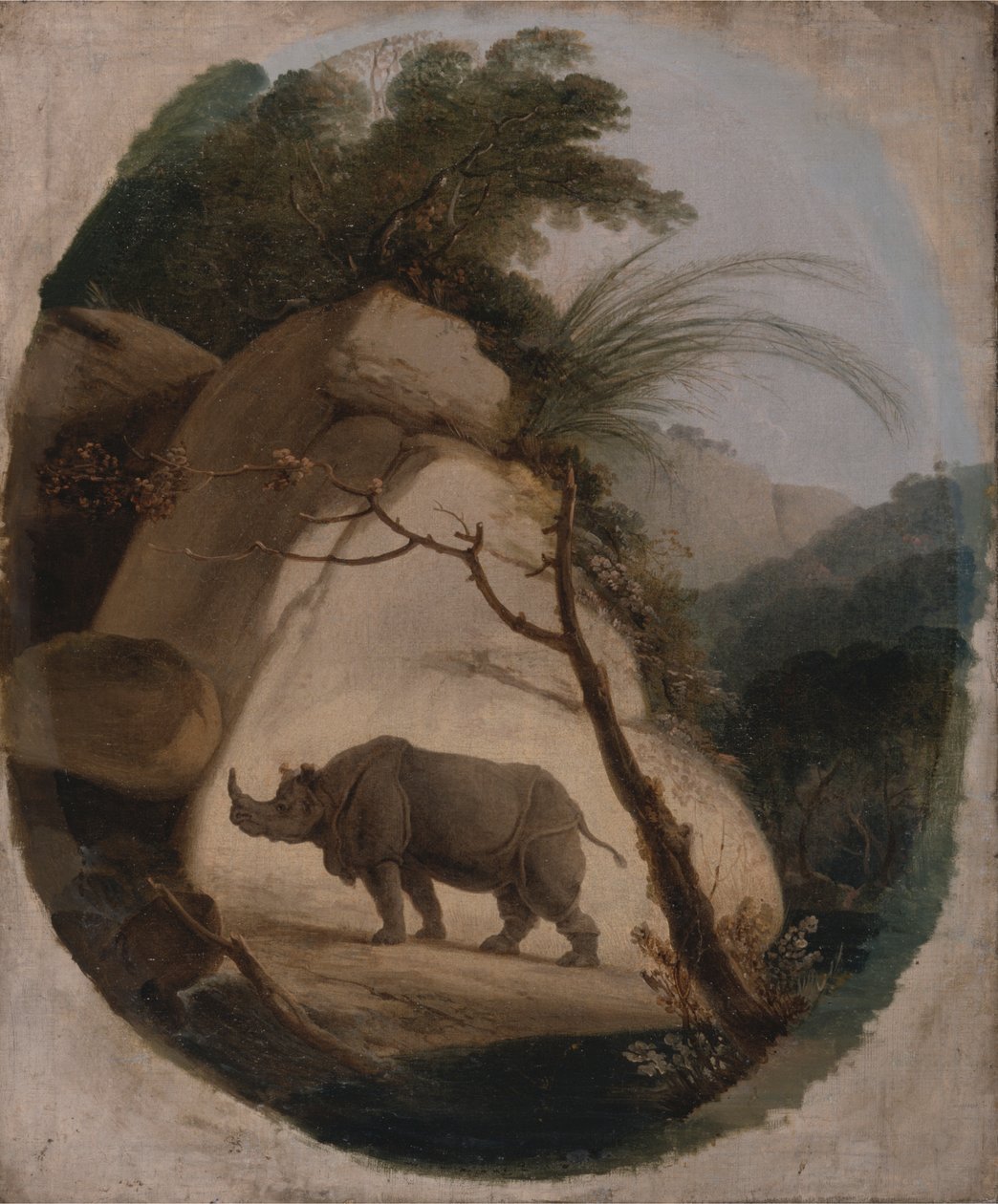 O Rinoceronte indiano de Thomas Daniell