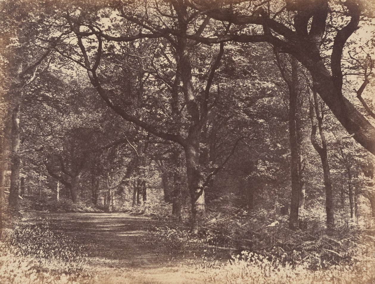 Cena de madeira, Norton, Cheshire, 1856. de Thomas Davies