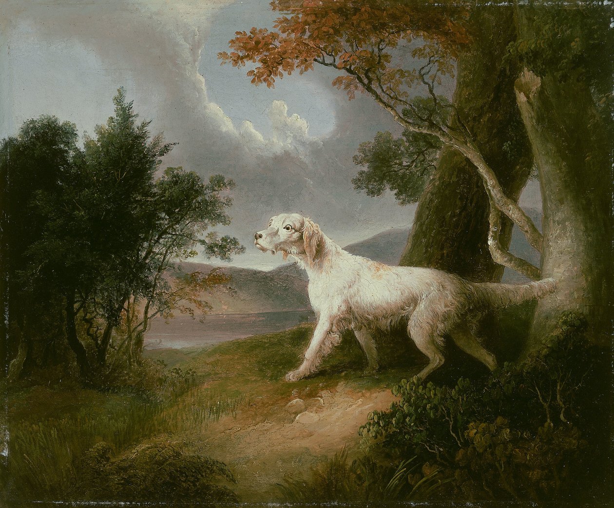 Paisagem com cão de Thomas Doughty