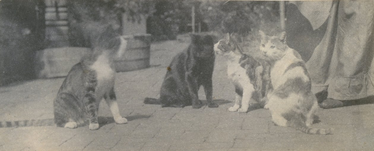 Quatro gatos, ca. 1895. de Thomas Eakins