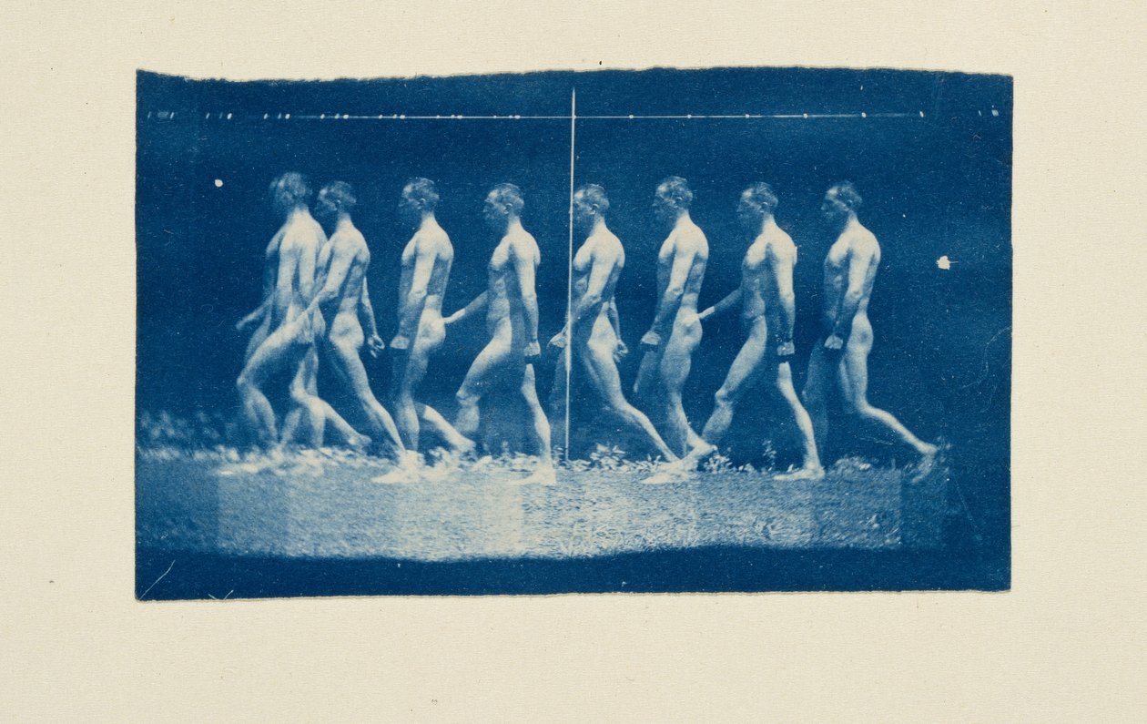 Fotografias da roda de Marey, de Jesse Godley de Thomas Eakins