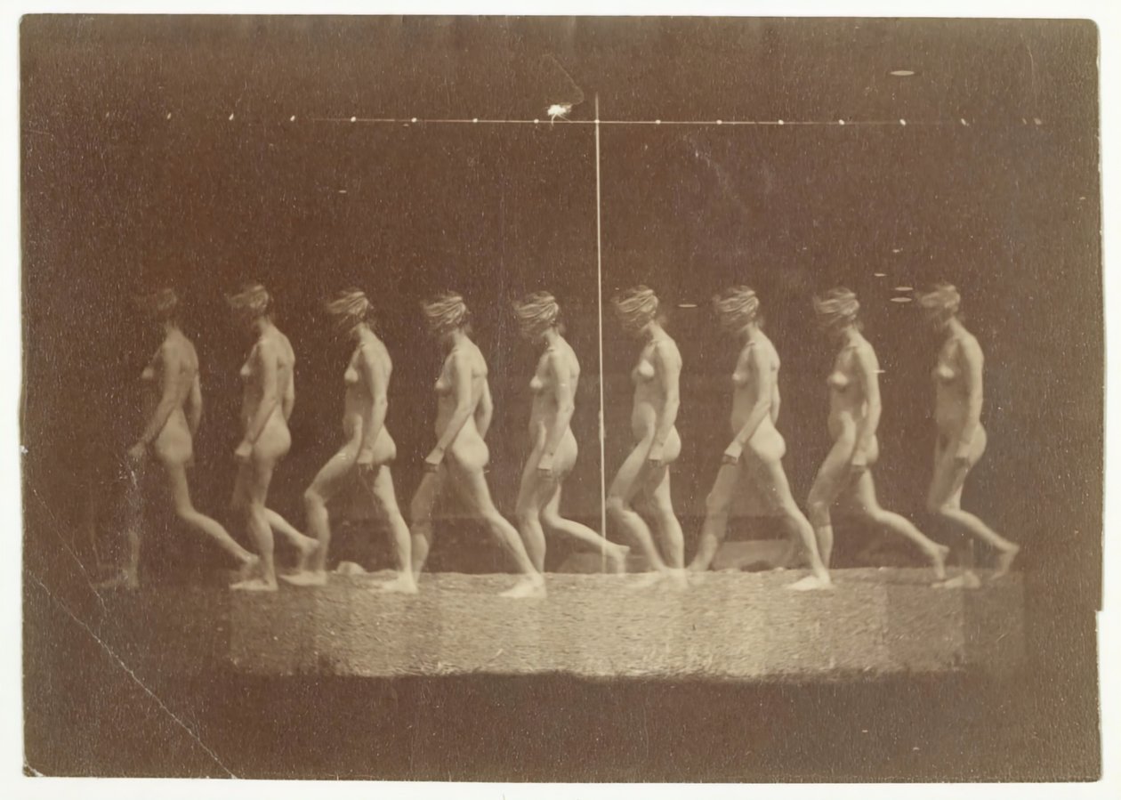 Marey Wheel Fotografias de Modelo Não Identificado, 1884. de Thomas Eakins