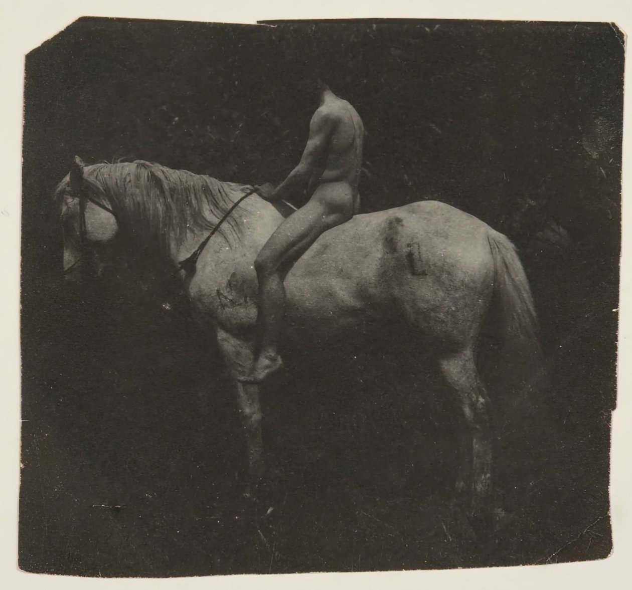 Cavalo Billy de Samuel Murray Astride Eakins, c. 1892. de Thomas Eakins