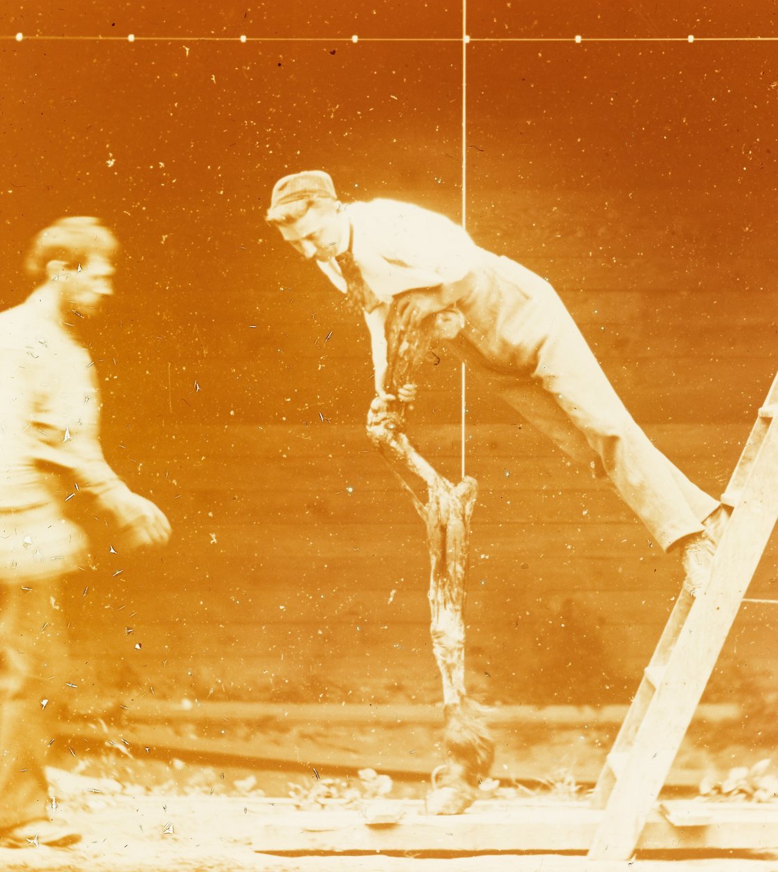 [Studie der Muskelaktion: Junger Mann lehnt an einem Pferdebein] de Thomas Eakins
