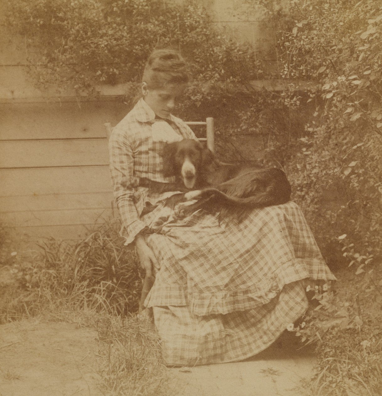 [Susan Macdowell (mais tarde Sra. de Thomas Eakins) com um setter] de Thomas Eakins