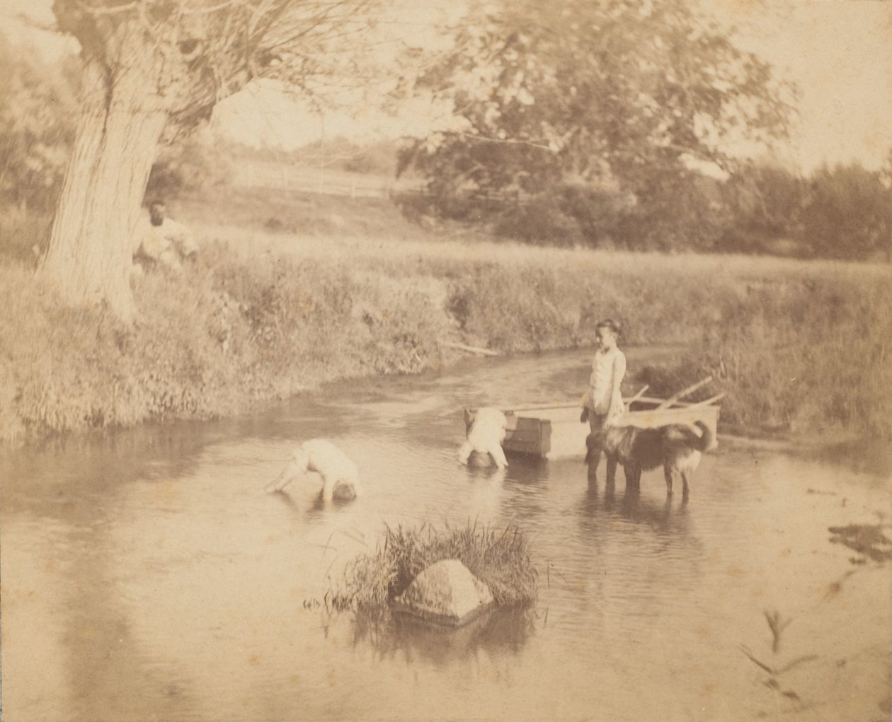 [Três crianças e um cão a brincar no riacho, 4 de Julho de 1883], 1883., 1883., 1883. de Thomas Eakins