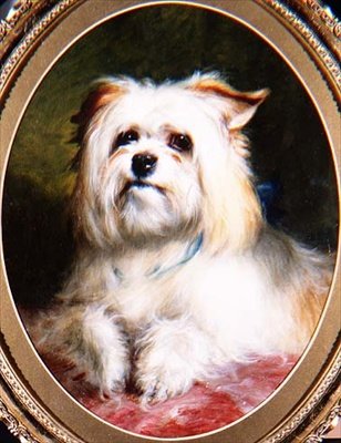 Um Olhar Vencedor de Thomas Earl