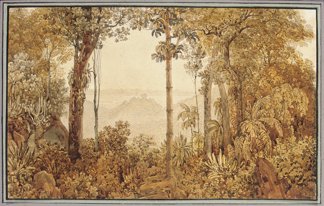 Vista com vista para o Rio de Janeiro da floresta da Tijuca de Thomas Ender