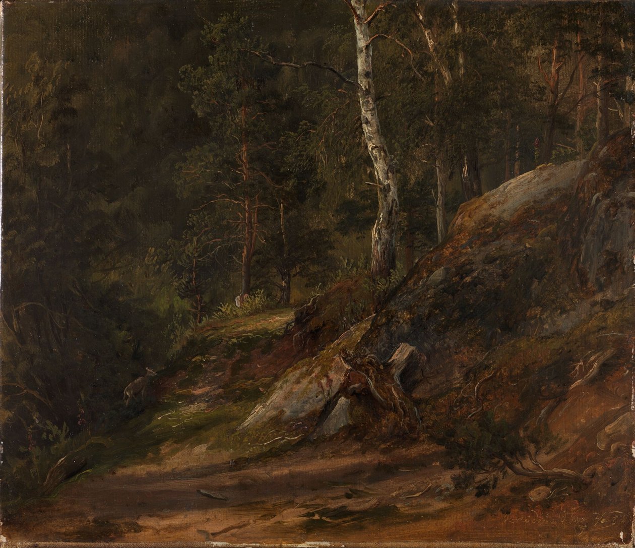 Estudo da floresta de Romsdal de Thomas Fearnley