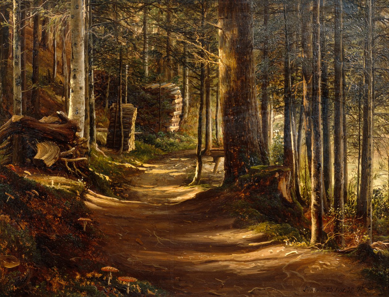 Estrada em floresta de coníferas de Thomas Fearnley