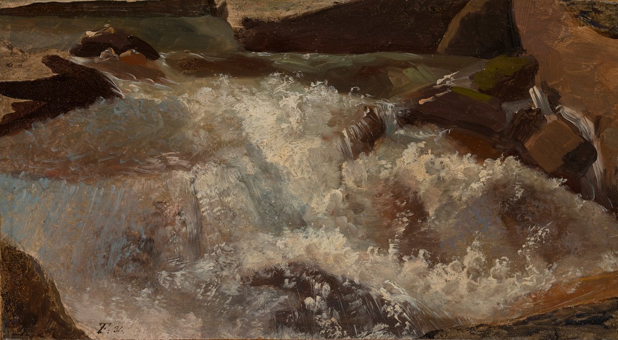 Água Selvagem. estudo da natureza de Thomas Fearnley